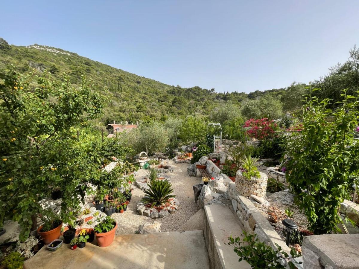 Apartments Leviana سابلونارا المظهر الخارجي الصورة